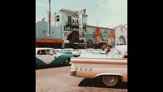 (FREE SAMPLE PACK) ~ Wander | 90s Samples x Vintage Samples | Hip-Hop Samples, Pre-Chopped Samples