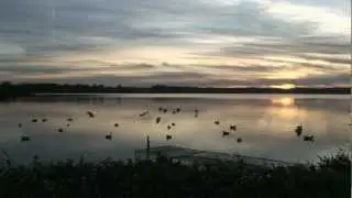 Bande Annonce La Voie du Sud (film documentaire sur la chasse &agrave; la tonne aux oies)