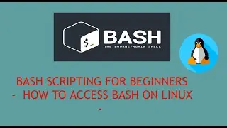 BASH Scripting For Beginners - How To Access Bash on Linux