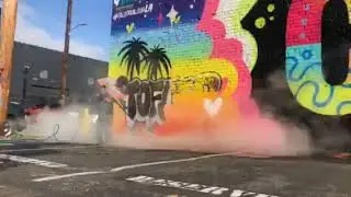 California Mural - Protected with APP S