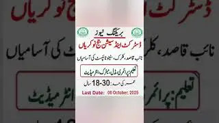 District & Session Court Jobs 2025 | Apply Online Now