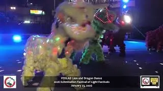 FEDLAD Lion and Dragon Dance