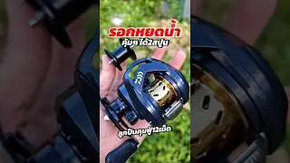 Great value! Get two spools, 10kg drag, 6.3:1 gear ratio, and the sound of a fish pulling the lin...