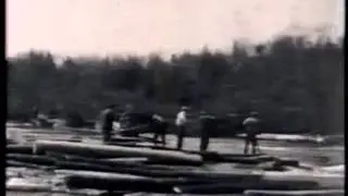 В мои дни: &laquo;От пня до корабля&raquo; Альфреда Эймса (1930)