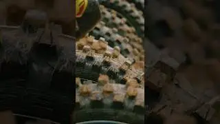 Geomax Factory Spec