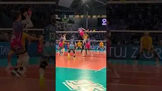 📺 Watch the CEV Champions League Volleyball LIVE on EuroVolley.TV #cev #volleyball #clvolley
