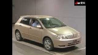 В разбор Toyota Allex NZE124 1NZ-FE 2001 г.в. (донор 1117)