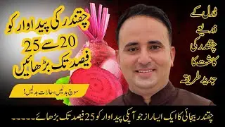 چقندر کی پیداوار میں 30٪ اضافہ | ڈرل سے جدید کاشت Modern Beetroot Sowing| 25&ndash;30% Higher Yield