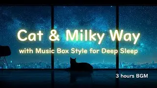【Music Box Style】 black cat and the Milky Way | 3 Hour BGM for sleep & relax✨