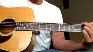 Hohner HG-340 1978 acoustic guitar