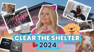 Stafford County Animal Shelter | ADTV Episode 6 with Host Ginger Walker