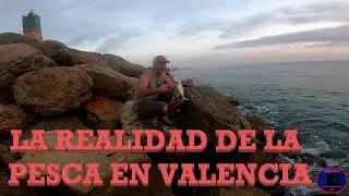 La Realidad de la pesca en Valencia