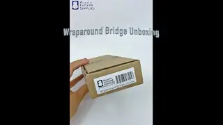 ALS Les Paul Jr. Wraparound Bridge Unboxing!!!