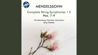 String Symphony No. 7 in D Minor, MWV N 7: IV. Allegro molto