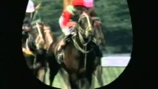 1985 Melbourne Cup TV Commercial