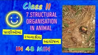 Ch7 Structural Organisation In Animals|11NCERT Biology AudioBook In Gujrati|પ્રાણીઓમાં રચનાકીય આયોજન