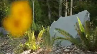 Natural Burial | Green Burial | Victoria BC | Royal Oak Cemetery