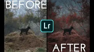 Autumn Red Tone Development on Lightroom | By Nisha Tiwari