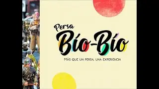 Persa bio bio