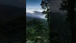 Sounds of Earth - Bali Rainforest ASMR: Pure Nature Serenity 🧞&zwj;♂️ 3hrs