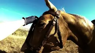 Horse Riding Spain - Part II - Malaga Ridin'