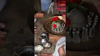 New vlog #shiv ji ka pujan#savan#sidhi rewa mp#village life#rural india
