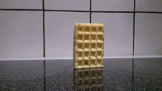 Waffle Falling Over Then Rising Again