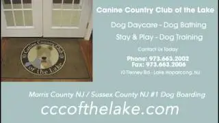 Dog Day Care Center NJ