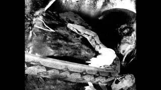 Vulturine - Morto em uma cova h&aacute; muito tempo esquecida