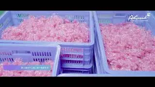 Laundry Beads Production Line