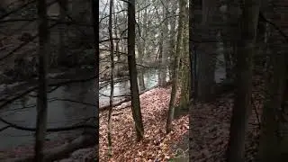 Walking on a Rainy Day 🌧️ ☔️ #weather #shorts #outdoors #nature #winter #rain #relaxing #walking 