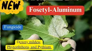 Fosetyl-Aluminum: Chemistry, Mode of Action, and Diverse Applications