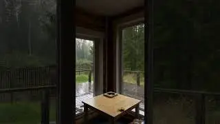 Feel Lighter in 1 Minute | Forest Rain ASMR #rainsounds #shorts