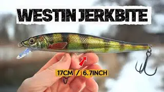 WESTIN JERKBITE 17 см | Новинка 2026 года | Первые впечатления и обзор