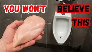 Я не могу поверить, что это случилось со мной. Столько КУРИЦЫ.
