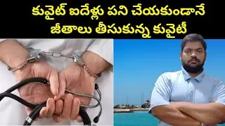 కువైట్ ఐదేళ్లు పని చేయకుండానే జీతాలు || Kuwait Doctor Salary || STV Telugu News
