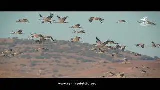 Anillo de Gallocanta: por tierras de Zaragoza y Teruel