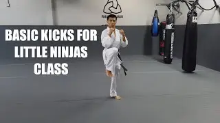Basic Kicks for Little Ninjas Class