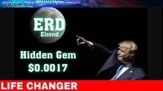 Elrond ERD #ERD  ..... Must Have in Portfolio.......................     BULLISH NETWORK