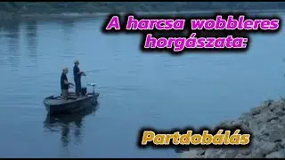 A harcsa wobbleres horgászata - Partdobálás