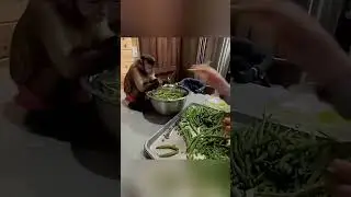 Monkey Sorting Vegetables