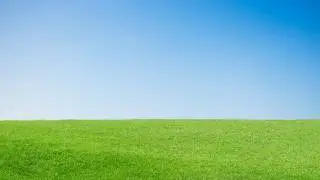 PLAYLIST LAGU MASA SMA TERFAVORIT PLAYLIST LAGU SANTAI TEMAN NGOPI & KERJA LAGU VIRAL INDONESIA 100%