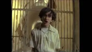 432 hz The Dead Milkmen   Punk Rock Girl