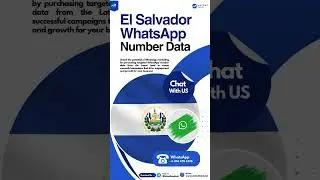 El Salvador WhatsApp Number Database | Latest Lead