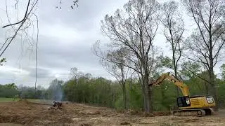 CAT 336FL clearing large trees