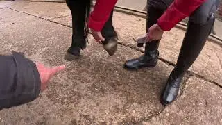 Hoof Pick 3