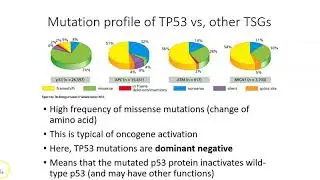 Cancer models