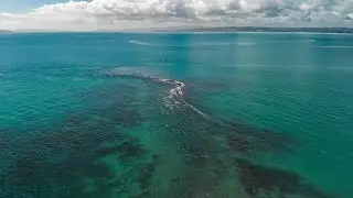 Мой лучший день. Ловля рыбы нахлыстом на мелководном рифе.