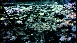 A Film By Ken Klein (1988)