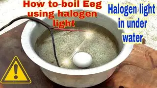 How to boil Eeg using halogen light | Halogen light in under water | Eeg boil karne ka naya tarika